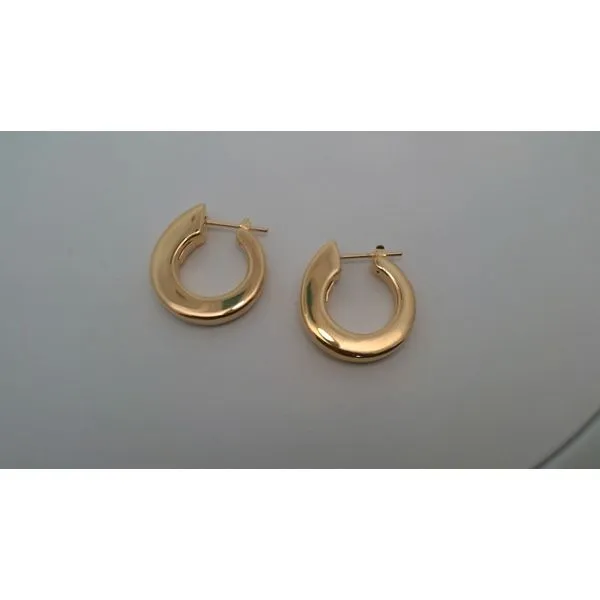Earrings McCarver Moser Sarasota, FL