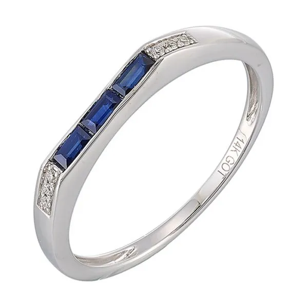 14Kt White Gold Diamond 1/50Ctw & Sapphire 1/8Ctw Ring Mees Jewelry Chillicothe, OH
