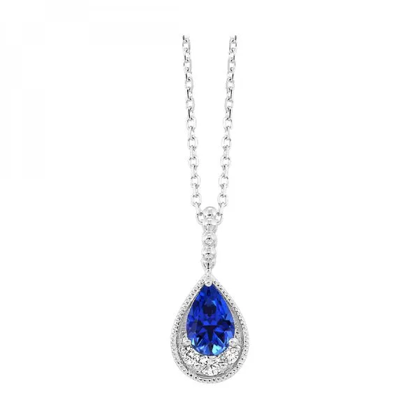 14Kt White Gold Diamond 1/20Ctw & Sapphire 1/2Ctw Pendant Mees Jewelry Chillicothe, OH