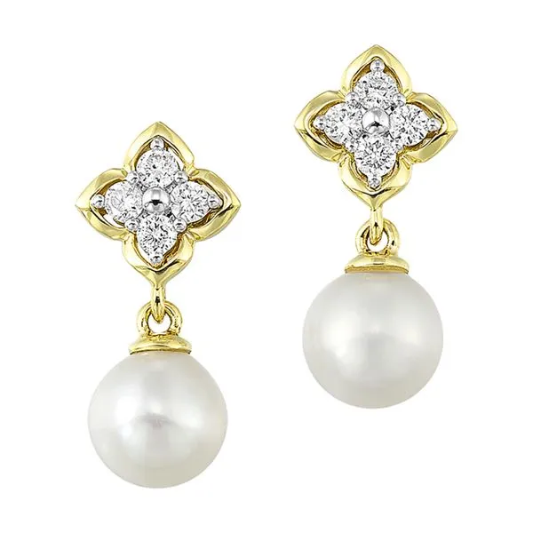 14Kt Yellow Gold Diamond 1/6Ctw & Pearl Earring Mees Jewelry Chillicothe, OH