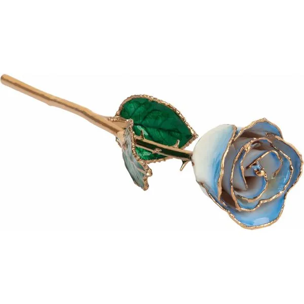  Mees Jewelry Chillicothe, OH