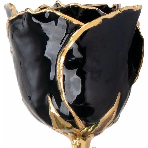 Lacquered Black Rose with 24k Gold Trim Image 2 Mees Jewelry Chillicothe, OH