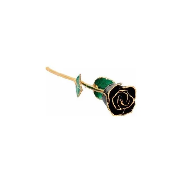 Lacquered Black Rose with 24k Gold Trim Mees Jewelry Chillicothe, OH