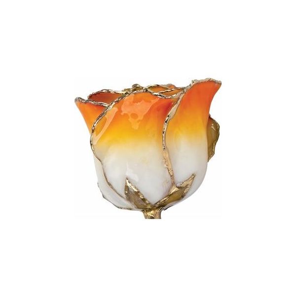 Lacquered Cream Orange Rose with 24K Gold Trim Image 2 Mees Jewelry Chillicothe, OH