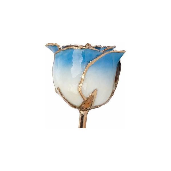  Image 2 Mees Jewelry Chillicothe, OH