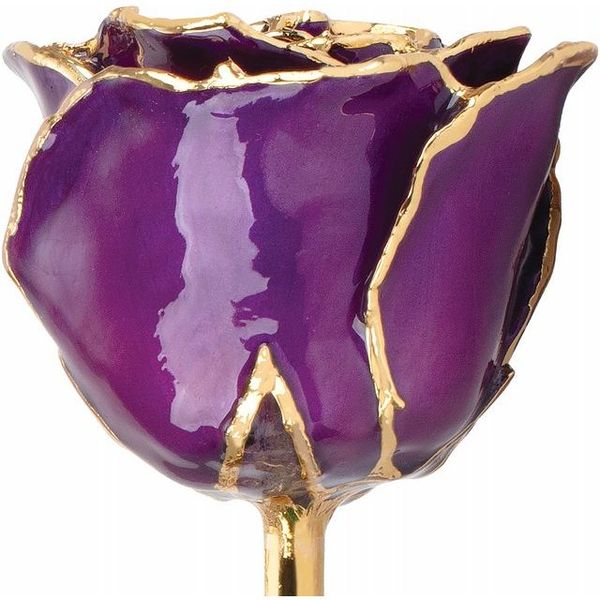 Lacquered Purple Rose with Gold Trim Image 2 Mees Jewelry Chillicothe, OH