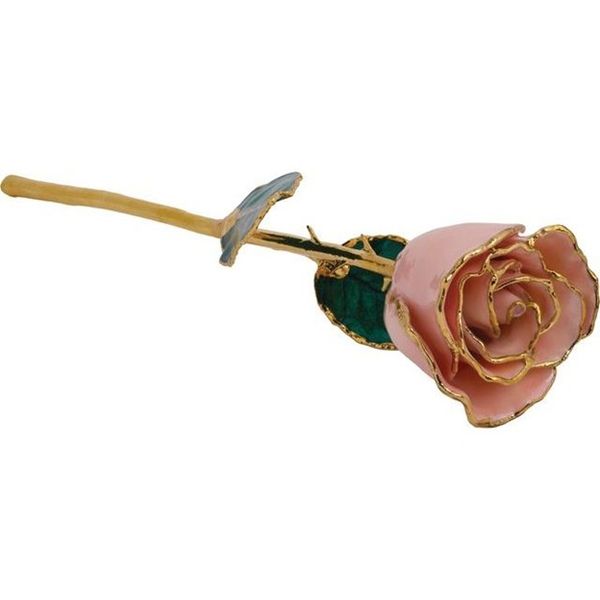  Mees Jewelry Chillicothe, OH