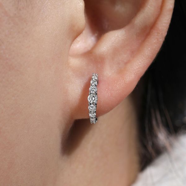 14KW .50CTW 13MM DIA EARRINGS

SERIAL# S326132 Image 2 Meigs Jewelry Tahlequah, OK