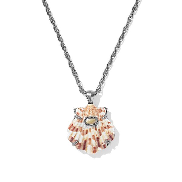 Rhodium Plated Neutral Scallop Lucia Shell Necklace Meigs Jewelry Tahlequah, OK