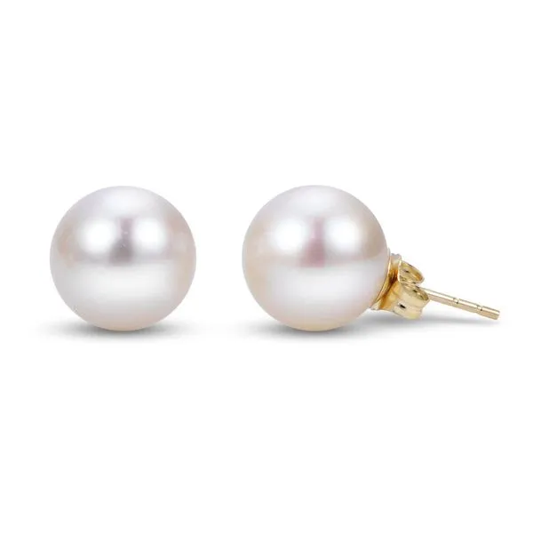 14 Karat Yellow Gold Akoya Pearl Stud Earrings Meigs Jewelry Tahlequah, OK