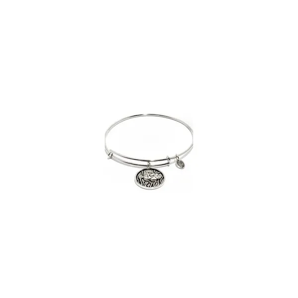 Bracelet The Mermaids Tale Amherst, OH