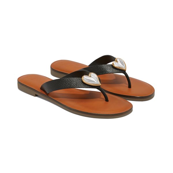 Brighton Footwear The Mermaids Tale Amherst, OH