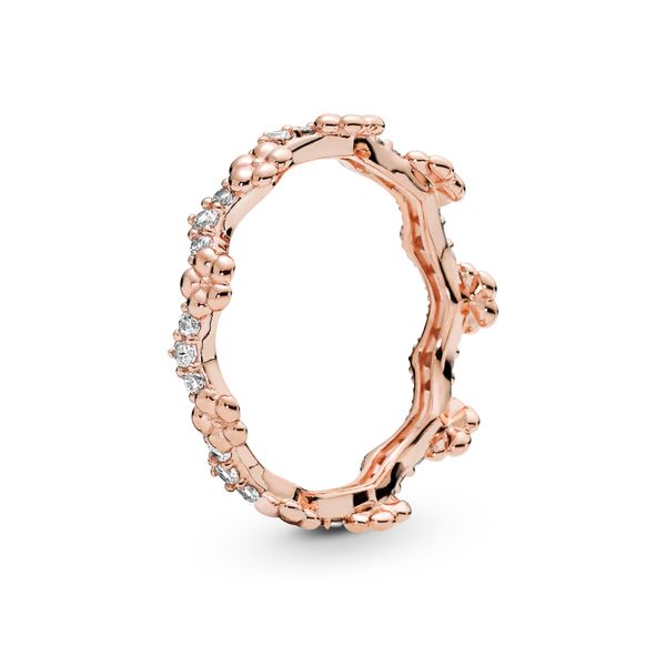 Pandora Ring The Mermaids Tale Amherst, OH