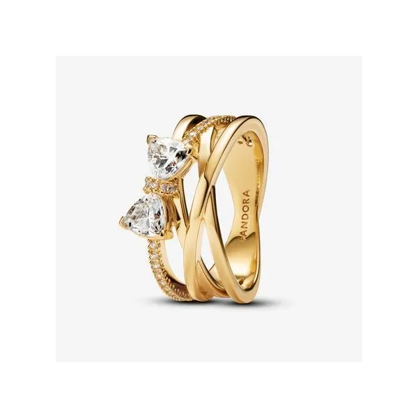 Pandora Ring The Mermaids Tale Amherst, OH
