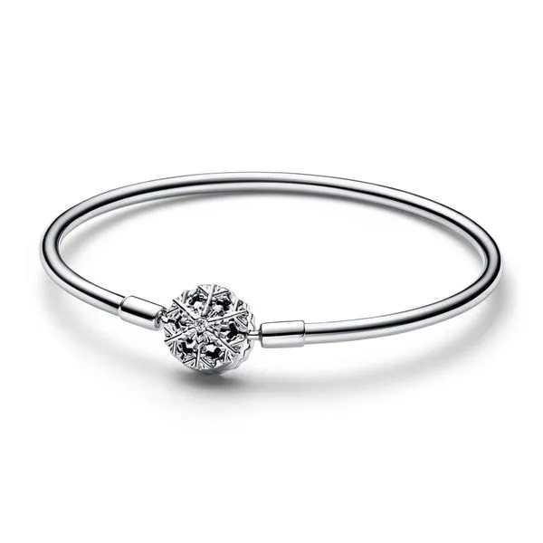 Pandora Bracelet The Mermaids Tale Amherst, OH