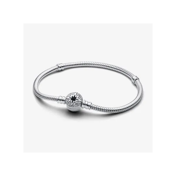 Platinum pandora bracelet sale