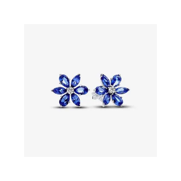 Pandora Earrings The Mermaids Tale Amherst, OH