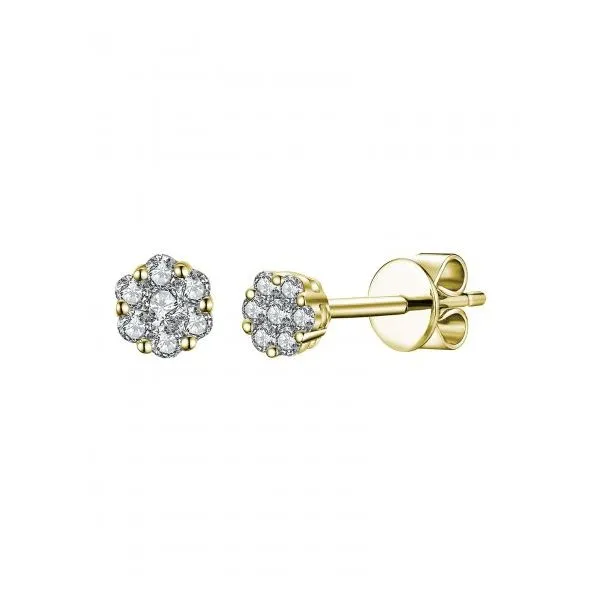 Diamond Earrings Mesa Jewelers Grand Junction, CO