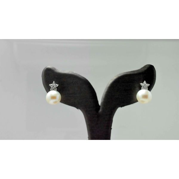Pearl Earrings Mesa Jewelers Grand Junction, CO