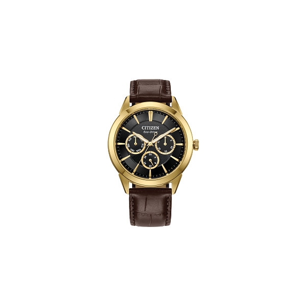 Men's Watch Mesa Jewelers Grand Junction, CO