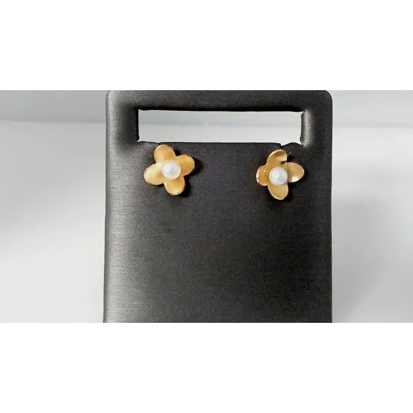 Silver Earrings Mesa Jewelers Grand Junction, CO