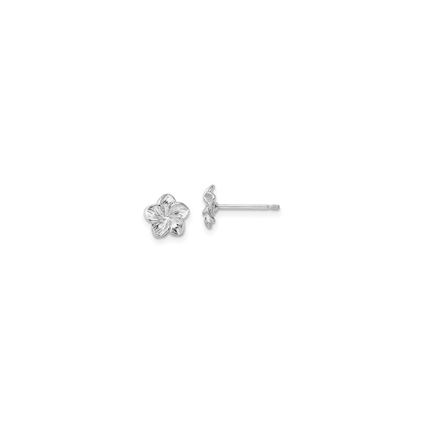 Silver Earrings Mesa Jewelers Grand Junction, CO