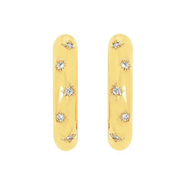 Earrings Michael Szwed Jewelers Longmeadow, MA
