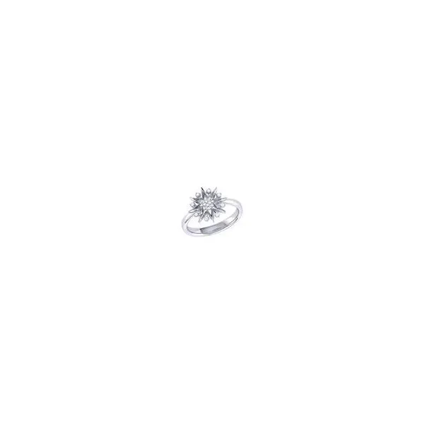 Silver Ring Michael Szwed Jewelers Longmeadow, MA