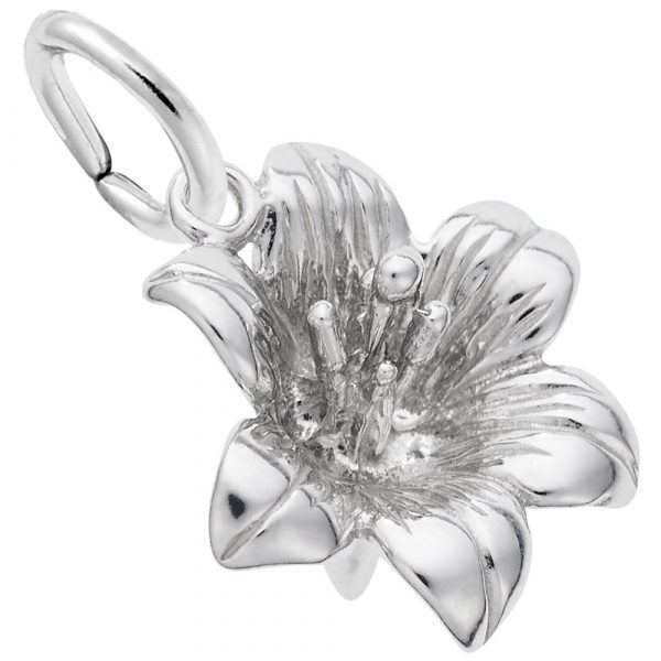 Silver Charm Michael Szwed Jewelers Longmeadow, MA