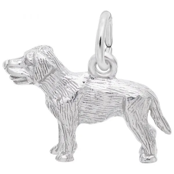 Silver Charm Michael Szwed Jewelers Longmeadow, MA