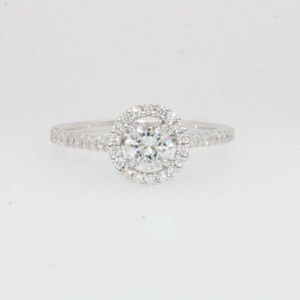 Engagement Ring Michele & Company Fine Jewelers Lapeer, MI