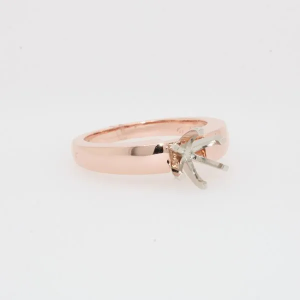 Engagement Ring Image 2 Michele & Company Fine Jewelers Lapeer, MI