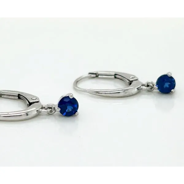 Diamond Earrings Michele & Company Fine Jewelers Lapeer, MI
