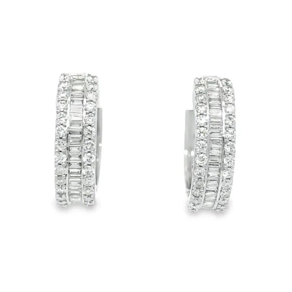 Diamond Earrings Michele & Company Fine Jewelers Lapeer, MI