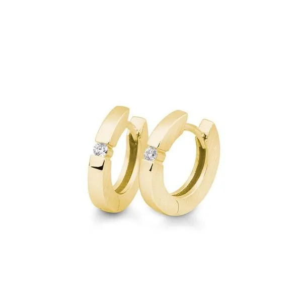 Diamond Earrings Michele & Company Fine Jewelers Lapeer, MI