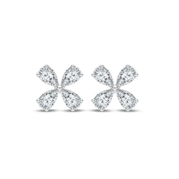 Diamond Earrings Michele & Company Fine Jewelers Lapeer, MI