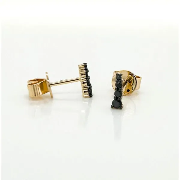 Diamond Earrings Michele & Company Fine Jewelers Lapeer, MI