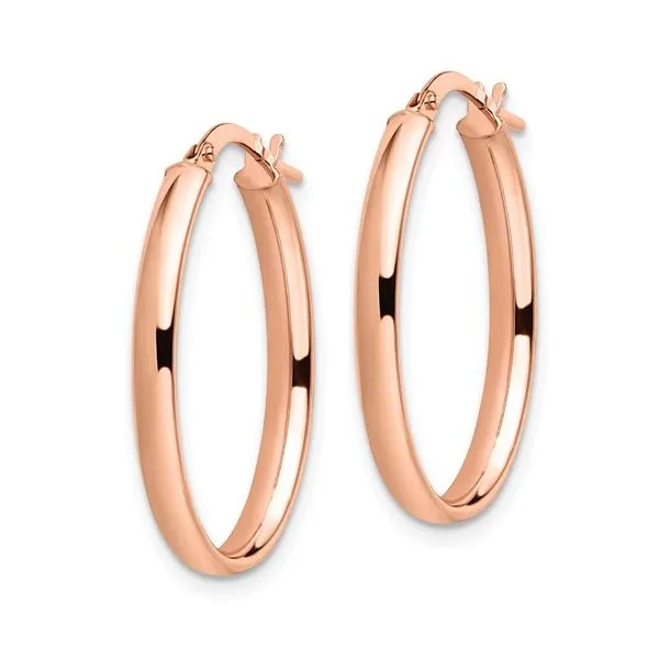 Gold Earrings Image 2 Michele & Company Fine Jewelers Lapeer, MI