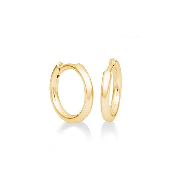 Gold Earrings Michele & Company Fine Jewelers Lapeer, MI