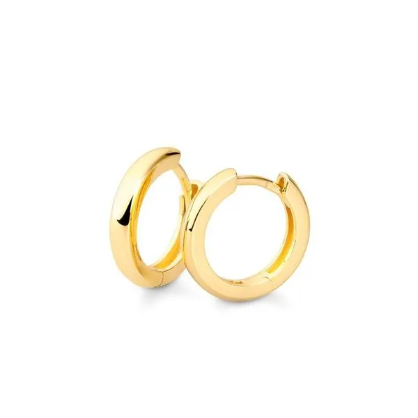Gold Earrings Michele & Company Fine Jewelers Lapeer, MI