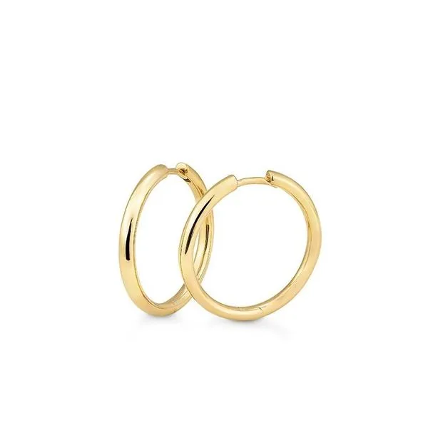 Gold Earrings Michele & Company Fine Jewelers Lapeer, MI