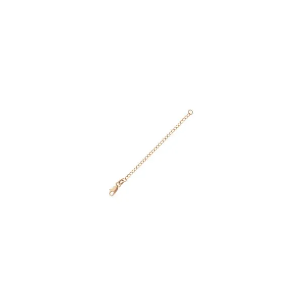 Gold Chain Michele & Company Fine Jewelers Lapeer, MI