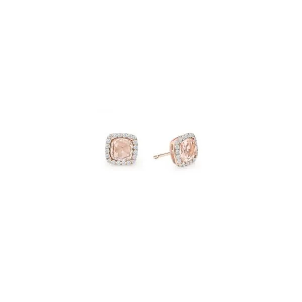 Silver Earrings Michele & Company Fine Jewelers Lapeer, MI