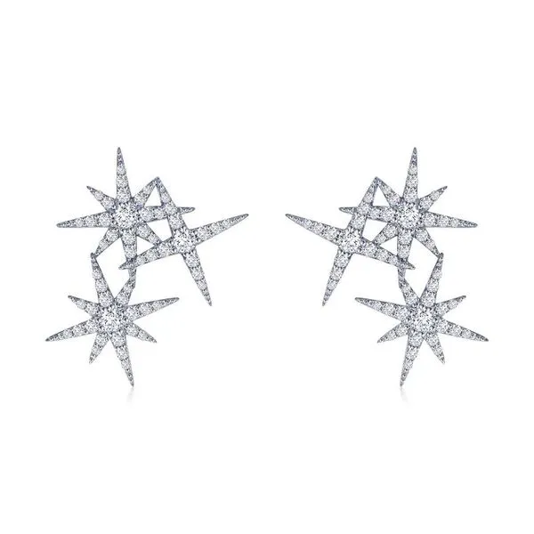 Silver Earrings Michele & Company Fine Jewelers Lapeer, MI