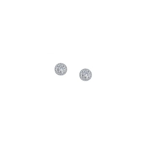 Silver Earrings Michele & Company Fine Jewelers Lapeer, MI