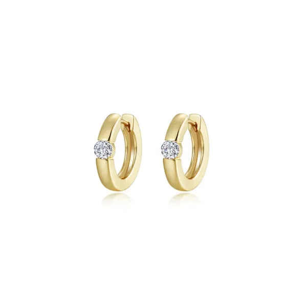 Silver Earrings Michele & Company Fine Jewelers Lapeer, MI