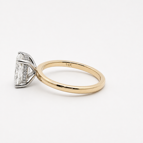LilyRose Collection Complete Cushion-Cut Engagement Ring Setting with Diamond Hidden Halo Image 2 Midtown Jewelers Herndon, VA