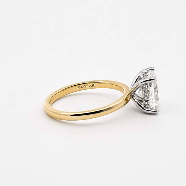 LilyRose Collection Complete Cushion-Cut Engagement Ring Setting with Diamond Hidden Halo Image 4 Midtown Jewelers Herndon, VA