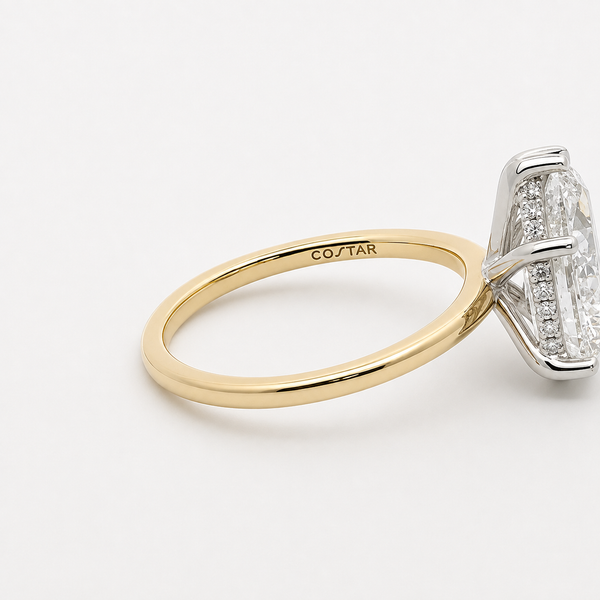 LilyRose Collection Complete Pear-Shape Engagement Ring Setting with Diamond Hidden Halo Image 4 Midtown Jewelers Herndon, VA