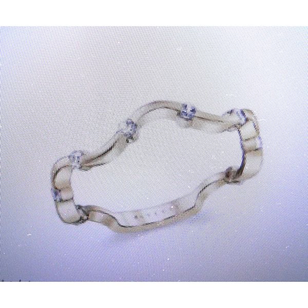 Women's Diamond Wedding Band Midtown Jewelers Herndon, VA